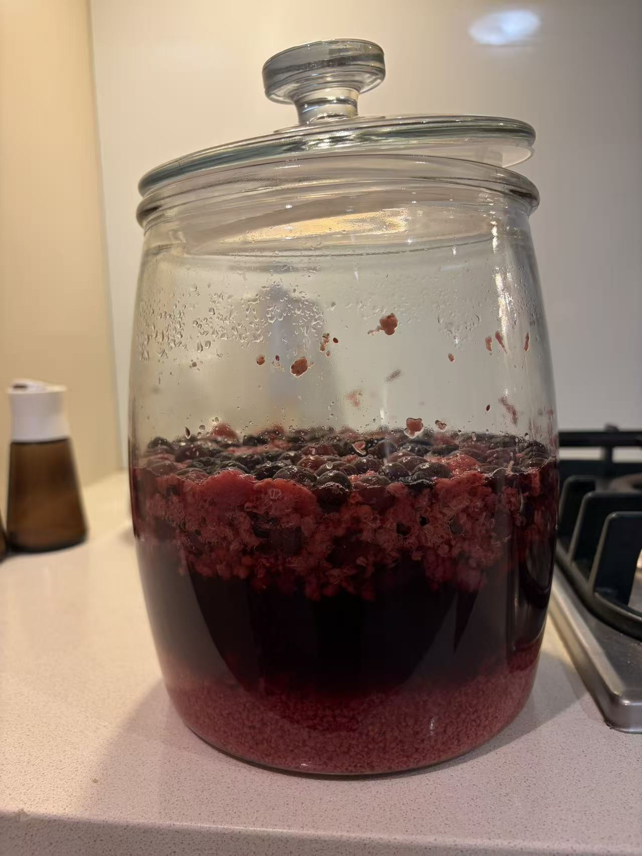 玻璃罐里正在发酵的混合果酒